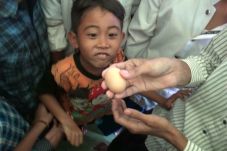 Telur Berlafal Allah...