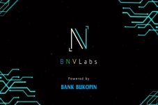 BNVLabs Jalin Kerja...