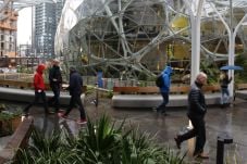 Amazon.com Membuka Hutan...
