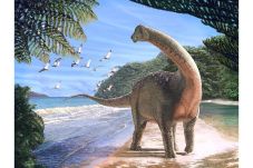 Fosil Dinosaurus Seukuran...