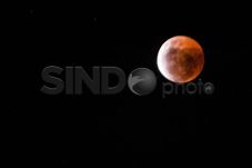 Pencinta Astronomi Amati...