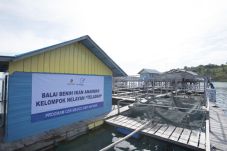 Medco Optimalkan Potensi...