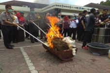 Polda Sumut Musnahkan...