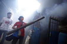 Rescue Perindo Fogging...