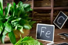 10 Fakta Tentang Anemia
