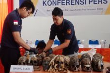 24 Tengkorak Manusia...