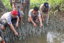 7 Anak Buaya Selundupan...