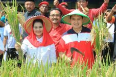 Gus Ipul-Puti Rumuskan...