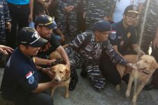 TNI AL Turunkan Anjing...