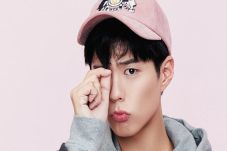 Park Bo Gum, Dambaan...