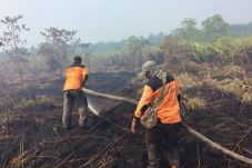 135 Hektare Lahan Terbakar,...