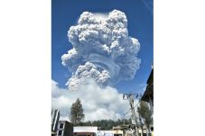 Gunung Sinabung Meletus...