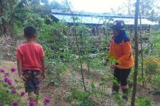 Lahan Jadi Subur, Ekonomi...
