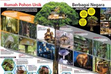 Rumah Pohon Unik di...