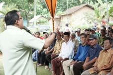 600 Petani di OKI Pastikan...