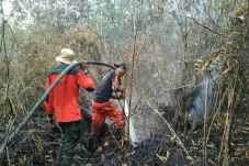 4 Provinsi Siaga Darurat...