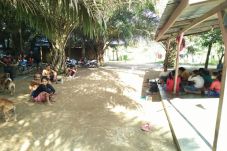 800 Warga Suku Anak...