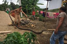 Warga Lubuk Linggau...