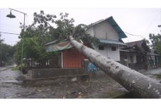 Ratusan Rumah Warga...