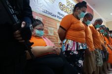 Selundupkan 2,4 Kg Sabu,...