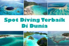 6 Spot Diving Terbaik...