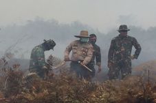 Dua Bulan Terakhir,...