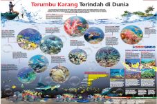 Terumbu Karang Terindah...