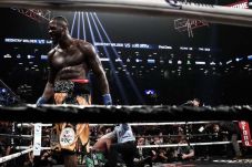 Wilder Robohkan King...