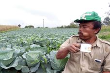 Anjlok Tiga Bulan, Harga...