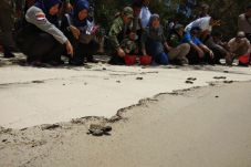 Bupati Kobar Lepasliarkan...