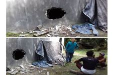 Pencuri Sarang Burung...