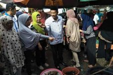 Cabup Merangin Nalim...
