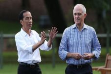 Jokowi Bilang Ide Bagus...