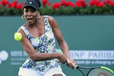Venus Williams Kembali...
