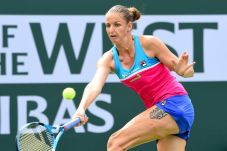 Karolina Pliskova Mengaku...