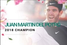 Del Potro Juara Indian...