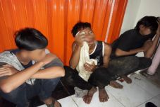 Mencuri Burung, Dua...
