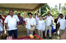 JOSUA Lakukan Kampanye...
