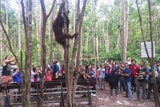 Banyak Wisata Menarik,...