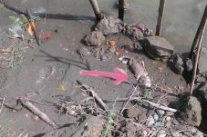 Warga Gempar, Jasad...