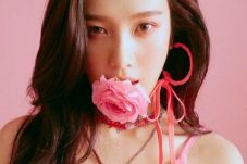 Fans Kritik Joy Red...