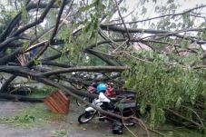 Blitar Diterjang Puting...
