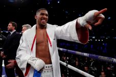 Ingin Duel vs Wilder...