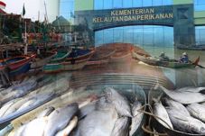 BPK: Kebijakan KKP Soal...