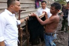 Ini Kronologi Pembantaian...