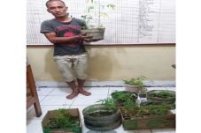 Budidayakan Tanaman...