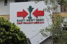 Ewindo Gunakan 30% Dana...