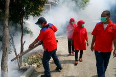 Cegah Demam Berdarah,...