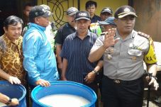 Oplosan Maut, Renggut...