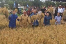 SBY Tegaskan Pemerintah...